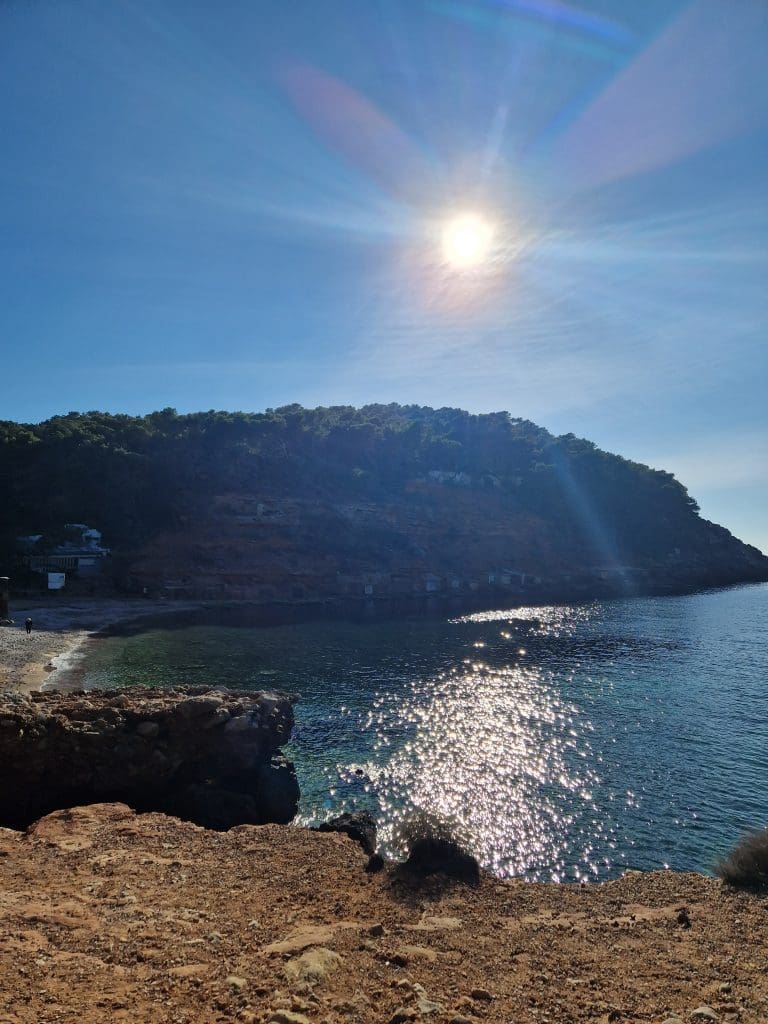 Zonnige kustlijn met weerspiegeling van de zon in het water, symbolisch voor nieuwe ontdekkingen met Life of Gini.
