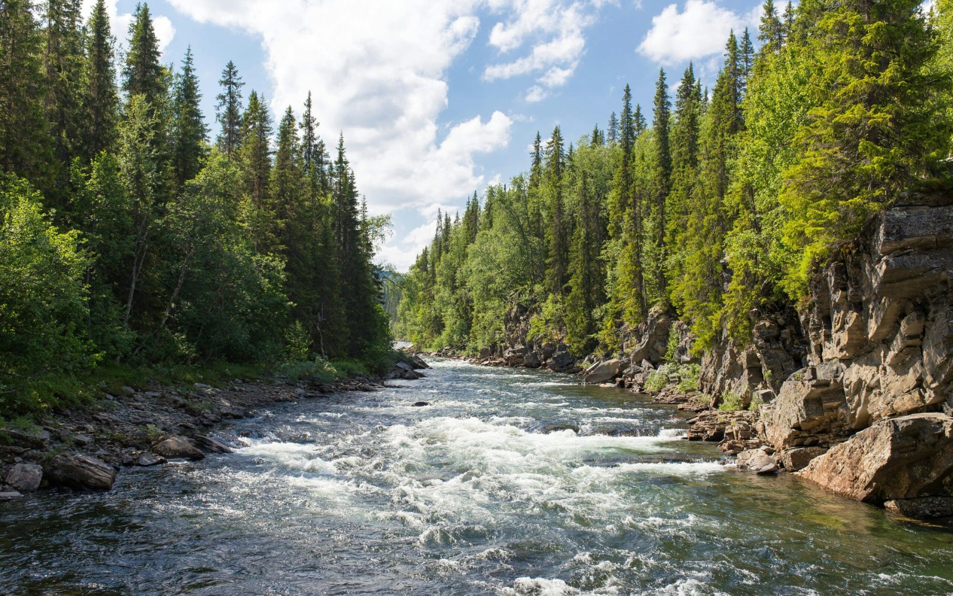 A scenic river flowing through a dense forest in Sweden, symbolizing adventure travel